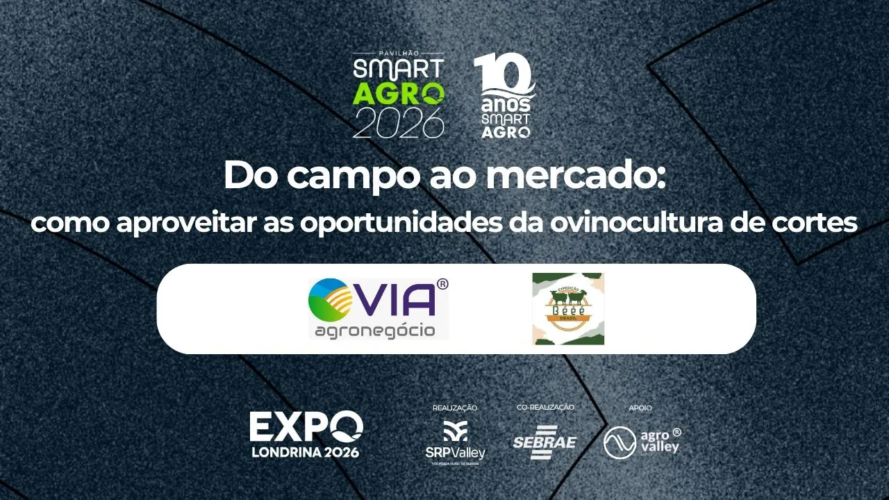 Do campo ao mercado: como aproveitar as oportunidades da ovinocultura de corte